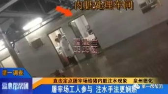 泉州生豬屠宰點曝注水丑聞，農副產品安全引擔憂